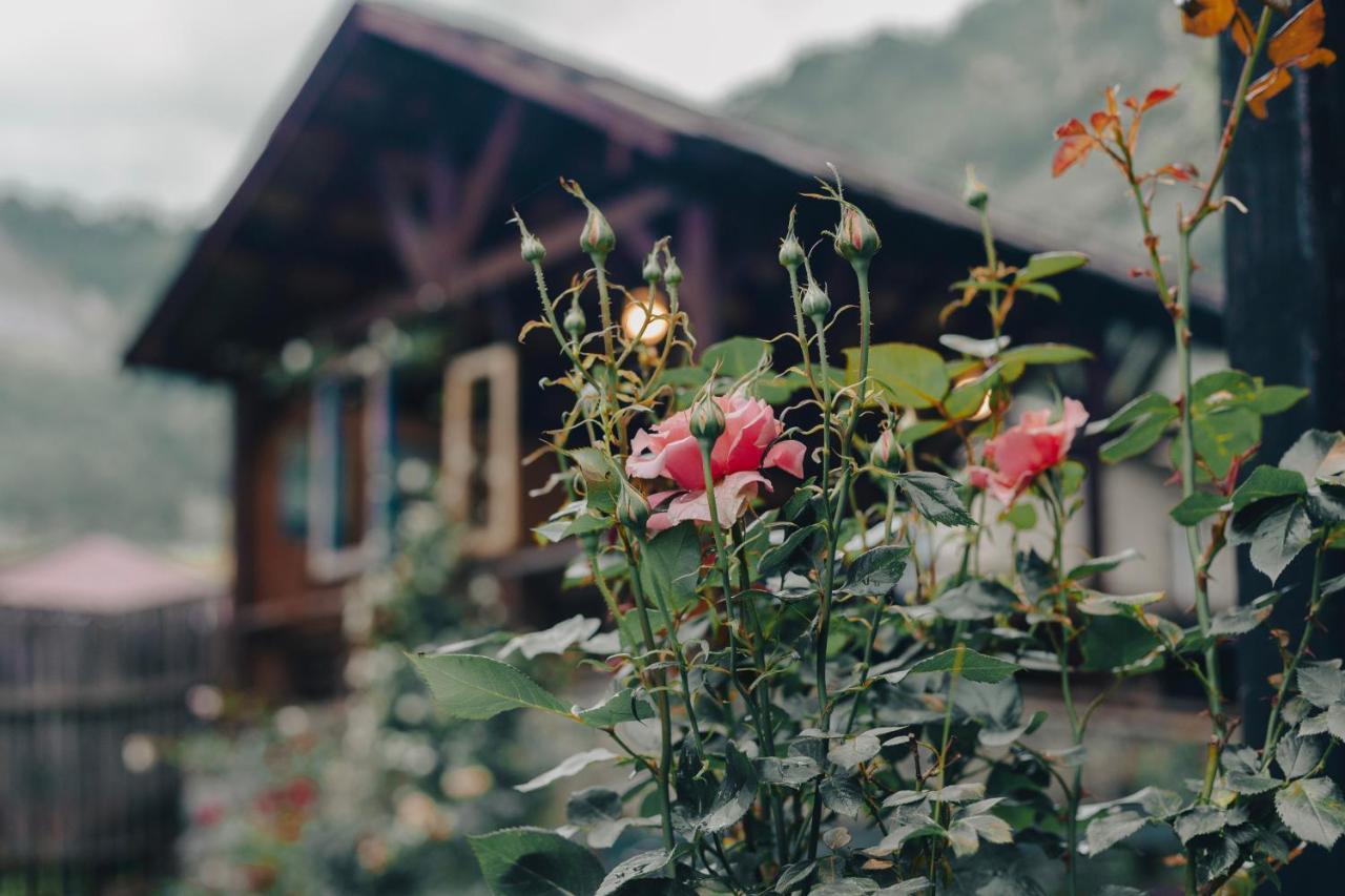 Villa Mestia Hotel Εξωτερικό φωτογραφία